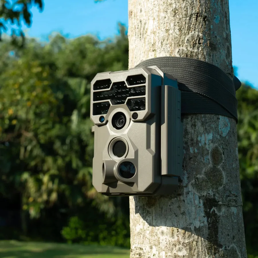 GardePro A60 trail camera strapped firmly to a thick tree trunk
