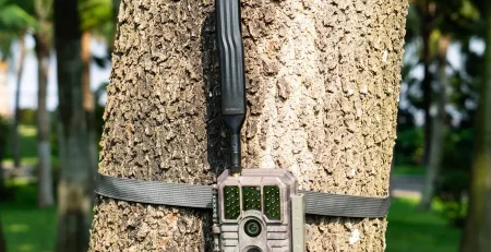 GardePro X80 Pro GPS Live 4G Trail Camera trail camera – view 5