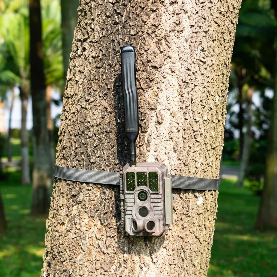 GardePro X60P Pro Max Live 4G trail camera mounted on a tree with antenna